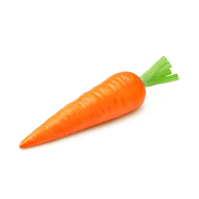 carrot